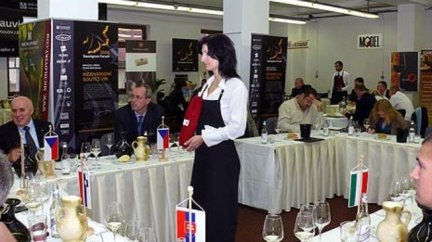 SAUVIGNON FORUM 2008, Mikulov