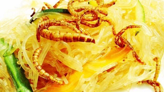 Letošní Prague Food Festival nabídl i hmyzí pochoutky