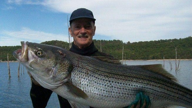 V americké zátoce plave ryba za 10 tisíc dolarů!