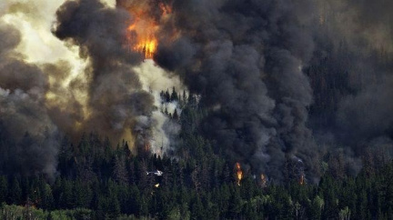 Národní Park na severu Čech hoří!