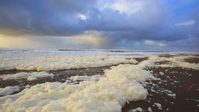 Vědci našli žijící společenství bakterií z dob dinosaurů