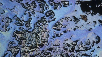 Ropa dál zdražuje, barel Brentu stojí více než 109 dolarů