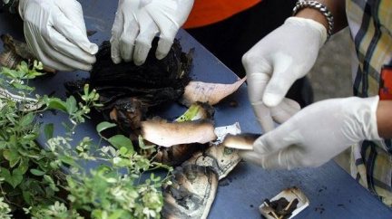 Záchranáři vyprostili 22 těl z trosek spadlého ruského letounu Suchoj