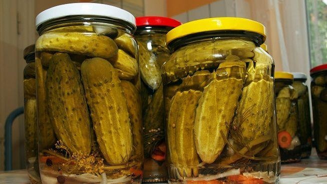 Co má společného mléko, česnečka a okurkový nálev? 