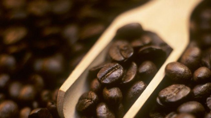 Víte, co pijete? Aneb káva trochu jinak