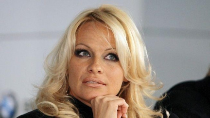 Anderson a Richie dluží na daních statisíce dolarů