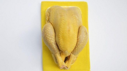 Veterináři posílají půl tuny kuřecího masa zpět do Polska. Je nekvalitní