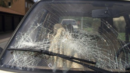 Při nehodách v červnu zatím zemřelo 34 lidí, nejméně za 22 let