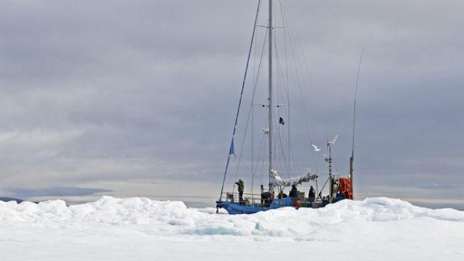 Plachetnice na cestě kolem světa zmizela u Antarktidy
