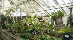 Skleníky, čerpadla, sekačky. Jarní počasí prudce zvýšilo prodej zahradního zboží