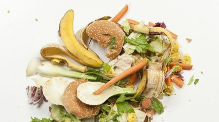 Německé domácnosti vyhazují jídlo