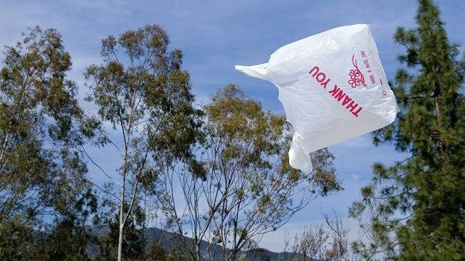 Igelitky jdou ve stopách žárovek