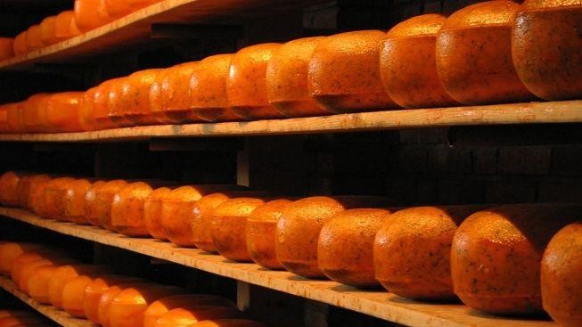 Světový šampionát v USA ovládl holandský sýr