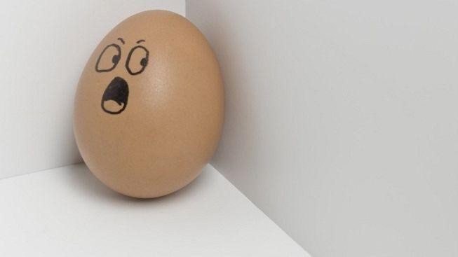 Severočeši jezdí pro vajíčka do Německa