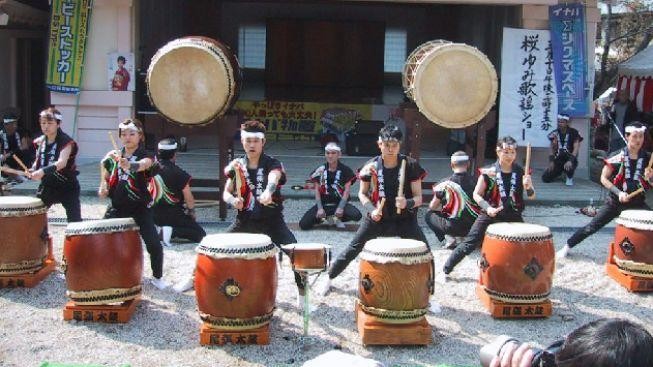 Sexuální touhu aligátorů má v zoo probudit zvuk bubnů