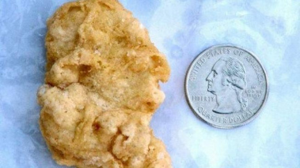 Tři roky starý kousek smaženého kuřete se prodal za 150 tisíc korun!