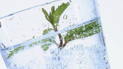 Light limonády mohou za infarkt!