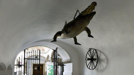 Brněnský drak z roku 1568 opustil po 40 letech svoje místo