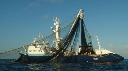 Rybářská loď nově směřuje s Costou Allegrou k Seychellám