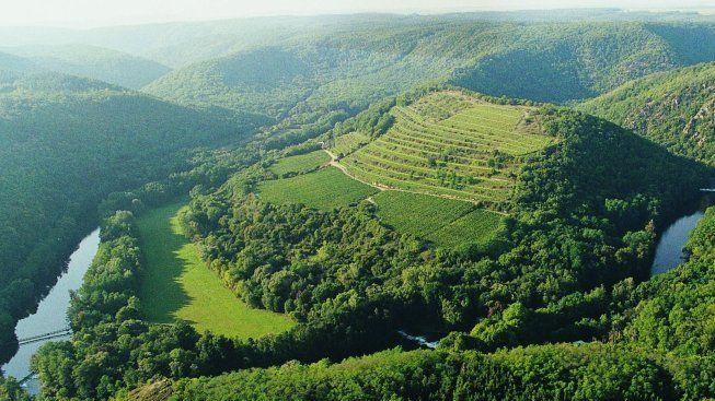 Jižní Morava táhne turisty po Praze nejvíc