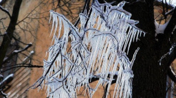 Teplotní rekordy zatím odolaly, teplota neklesla pod -30°C