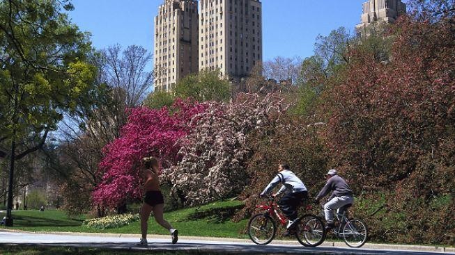 Newyorčany na cestě za sportem nic nezastaví