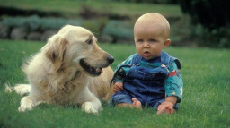 Čekáte dítě? Připravte na to i svého psa