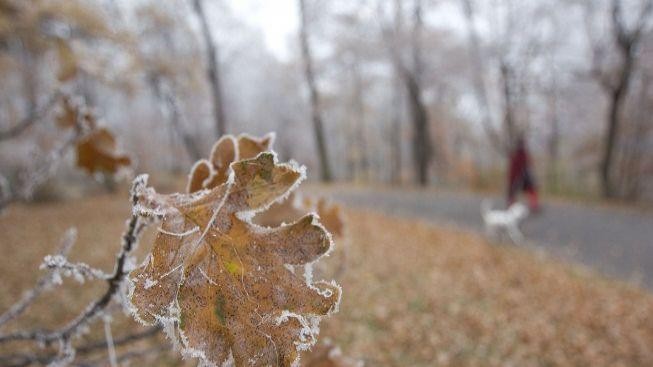 Nejchladnější noc letošní zimy: Na Kvildě naměřili -39,4°C