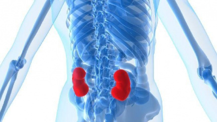 Světový den proti rakovině: Tématem jsou nádory ledvin