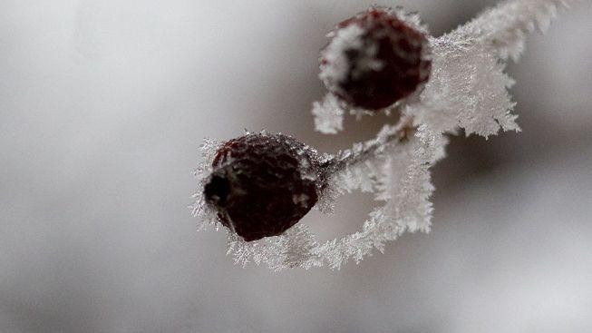 Mráz nabírá na síle. V Jeseníku naměřili - 24,4 °C