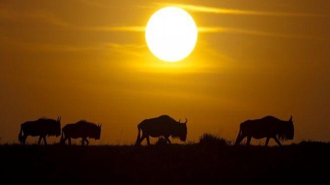 Keňané objevují vlastní parky