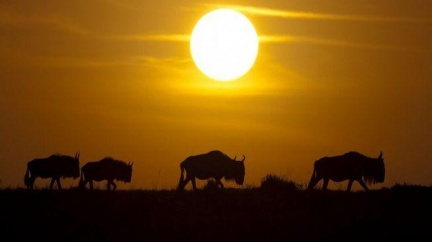 Keňané objevují vlastní parky