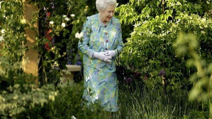 Když je královna rozrušená...