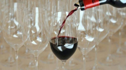 Prague Wine Week začíná