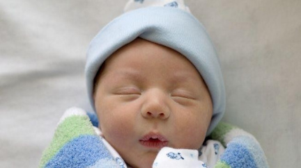 Miminka rozumí cizím jazykům, řídí se tónem hlasu