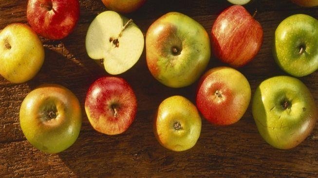 Jablka z loňské sklizně budou prý lepší než jindy