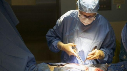 Návrh nařízení o dostupnosti lékařské péče je hotový