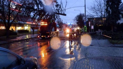 Meteorologové varují: V severní části republiky bude silně foukat 