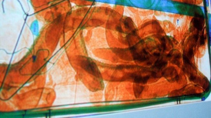 Čech, který pašoval 247 zvířat v kufru, je prý členem gangu