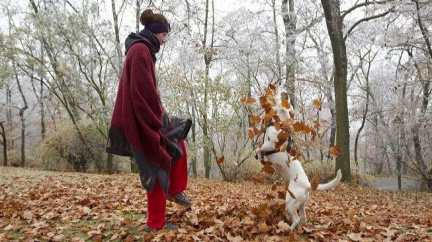 Na Vánoce bude padat déšť se sněhem, více sněhu až v lednu 