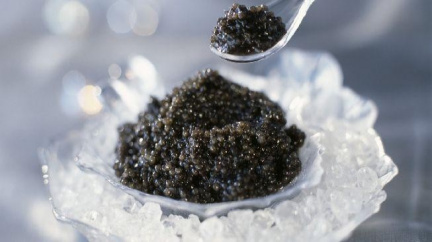 Prokletí jeseterů aneb kaviár jako luxusní delikatesa