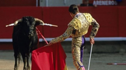 Španělsko začne opět vysílat přenosy býčích zápasů v televizi