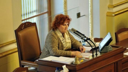 Parkanová se svou stížností vůči obvinění neuspěla. Žalobce ji zamítl