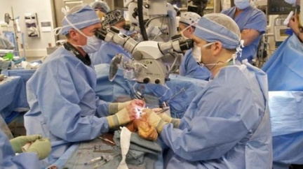 Česká transplantační chirurgie je na světové úrovni