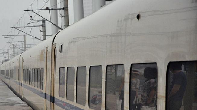 Kvůli bouřce nejezdily vlaky z Německa, trať u Drážďan byla zavřená