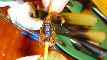 Největší hit Thajska? Pečení štíři