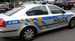 Amnestovaná bila a ponižovala matku, byla vykázána z bytu