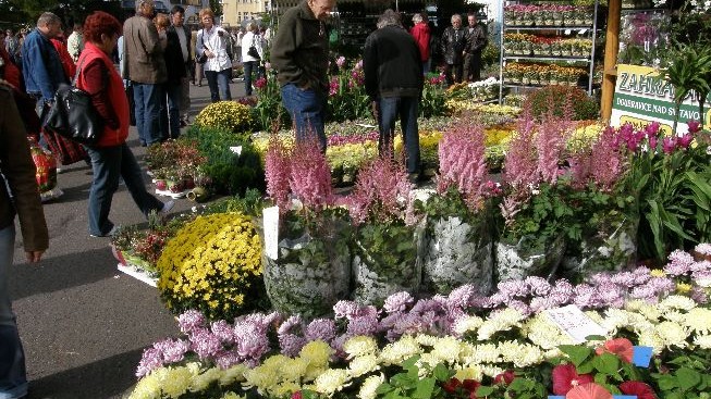 Strhující výstava Zahrada Čech okouzlila 90 tisíc návštěvníků
