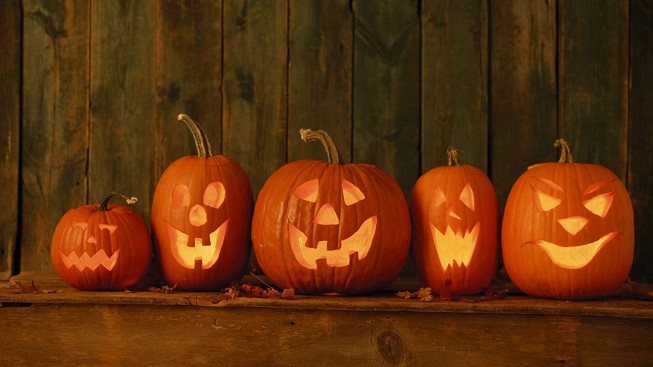 Británii hrozí nedostatek halloweenských dýní