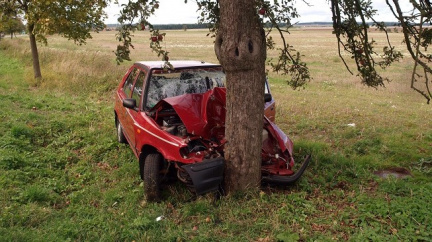 Mladý řidič nezvládl řízení. Narazil do stromu a zemřel